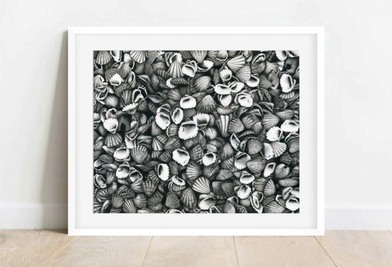 coquillages_cadreseul_boutique-min