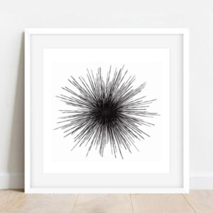 diadème (30 x 30cm)