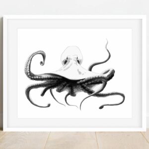 kraken (40 x 60cm-60 x 90cm)