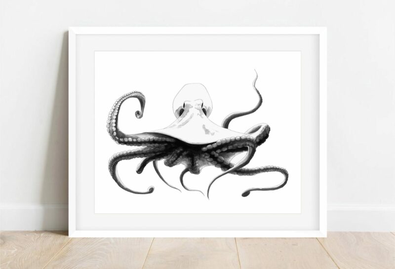 kraken_cadreseul_boutique
