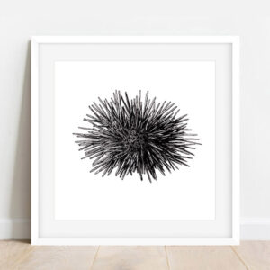 qui s’y frotte s’y pique (30 x 30cm)