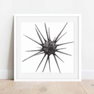 oursin porte-lance (30 x 30cm)